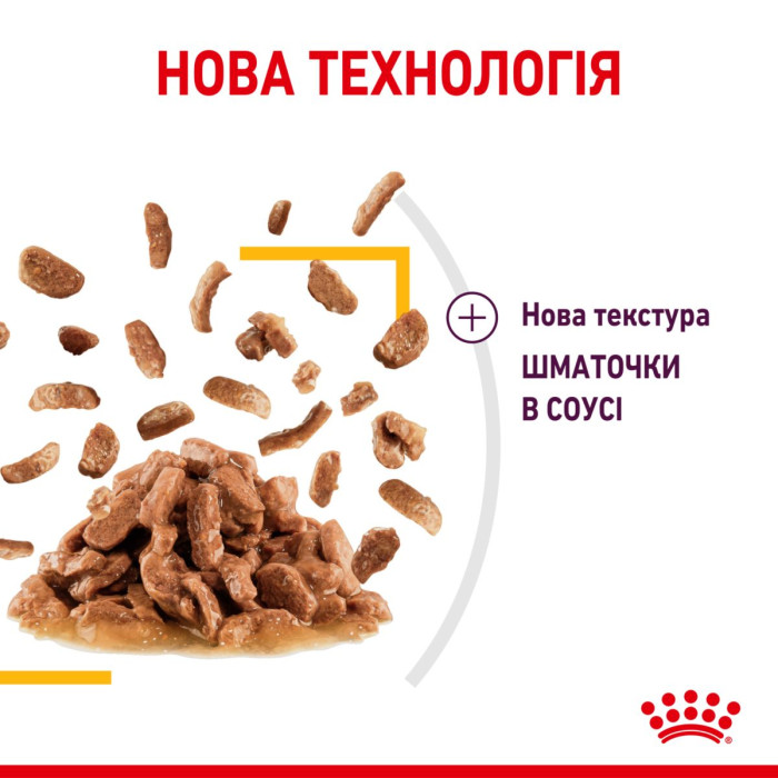 Консерви Royal Canin SENSORY TASTE in jelly (шматочки в желе) для дорослих котів, що стимулює смакові рецептори у котів, 85 г