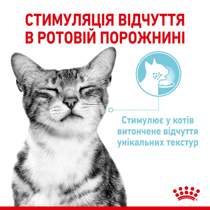 Консерви Royal Canin SENSORY FEEL in gravy (шматочки в соусі) для дорослих котів, що стимулює смакові рецептори для розпізнавання унікальних текстур, 85 г
