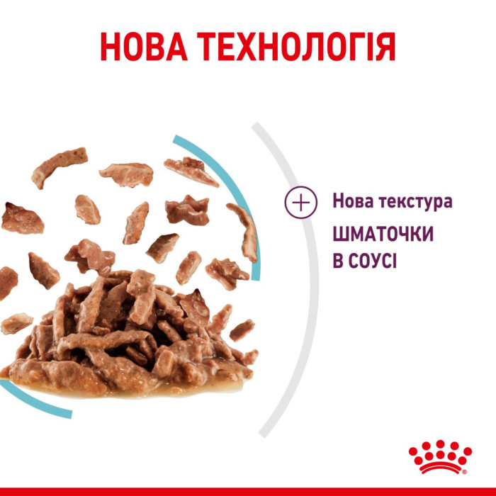 Консерви Royal Canin SENSORY FEEL in gravy (шматочки в соусі) для дорослих котів, що стимулює смакові рецептори для розпізнавання унікальних текстур, 85 г