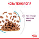 Консерви Royal Canin SENSORY FEEL in gravy (шматочки в соусі) для дорослих котів, що стимулює смакові рецептори для розпізнавання унікальних текстур, 85 г