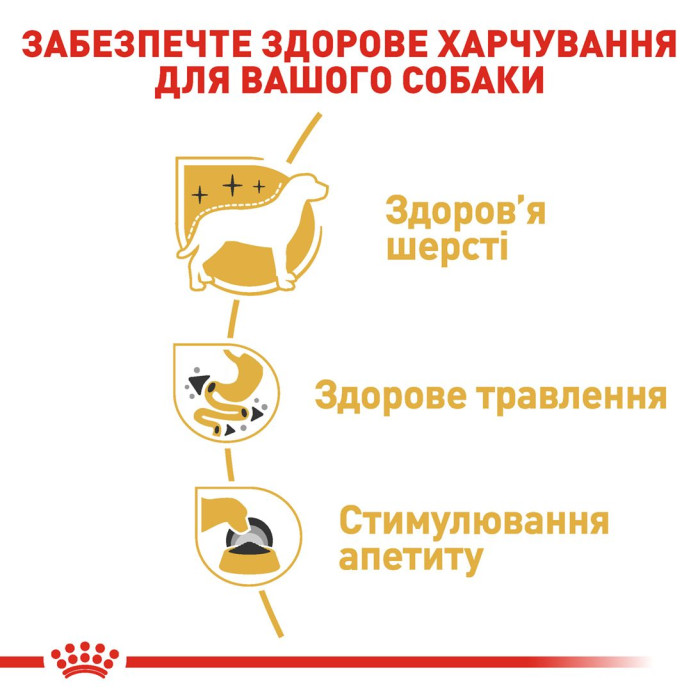 Консерви Royal Canin Chihuahua Adult для собак породи Чіхуахуа старше 8 міс. (паштет) 85 г