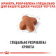 Корм Royal Canin Jack Russell Adult для взрослых и стареющих собак породы Джек Рассел терьер, 1,5 кг
