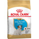 Корм Royal Canin Jack Russell Terrier Puppy для щенков породы джек-рассел-терьер до 10 месяцев, 1,5 кг