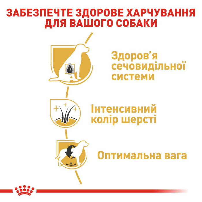 Корм Royal Canin Schnauzer Adult для дорослих собак породи шнауцер віком від 10 міс, 3 кг