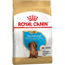 Корм Royal Canin Dachshund Puppy для цуценят породи такса у віці 2-10 міс. 1,5 кг