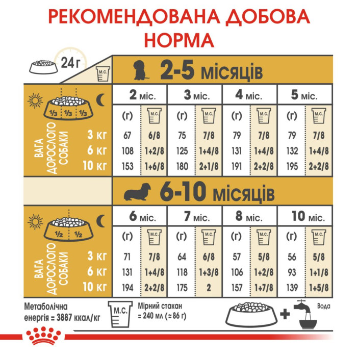 Корм Royal Canin Dachshund Puppy для цуценят породи такса у віці 2-10 міс. 1,5 кг