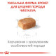 Корм Royal Canin Chihuahua Puppy для цуценят породи Чихуахуа до 8 міс. 1,5 кг