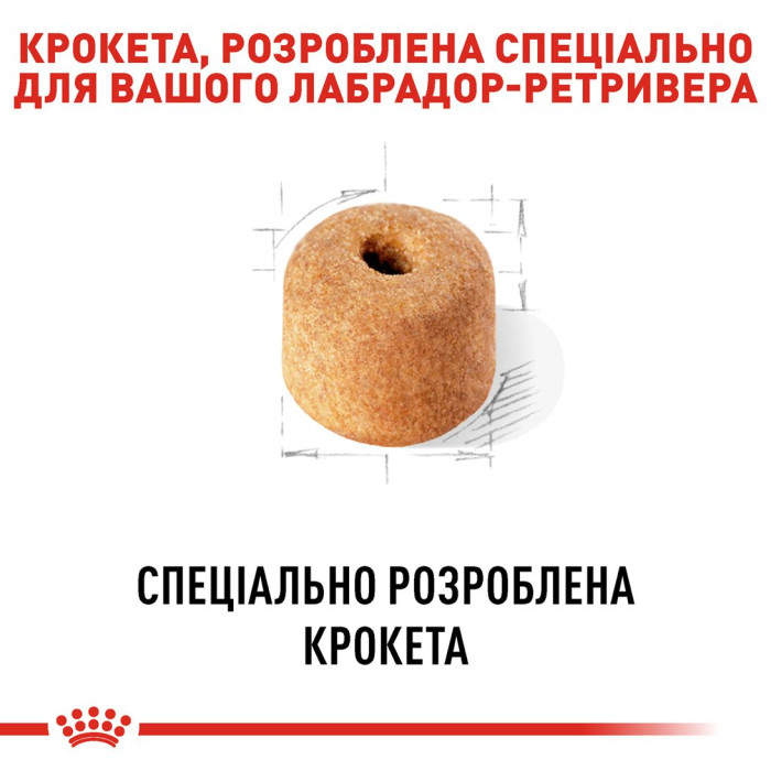 Корм Royal Canin Labrador Retriever Adult для дорослих собак породи лабрадор ретрівер віком від 15 місяців, 12кг