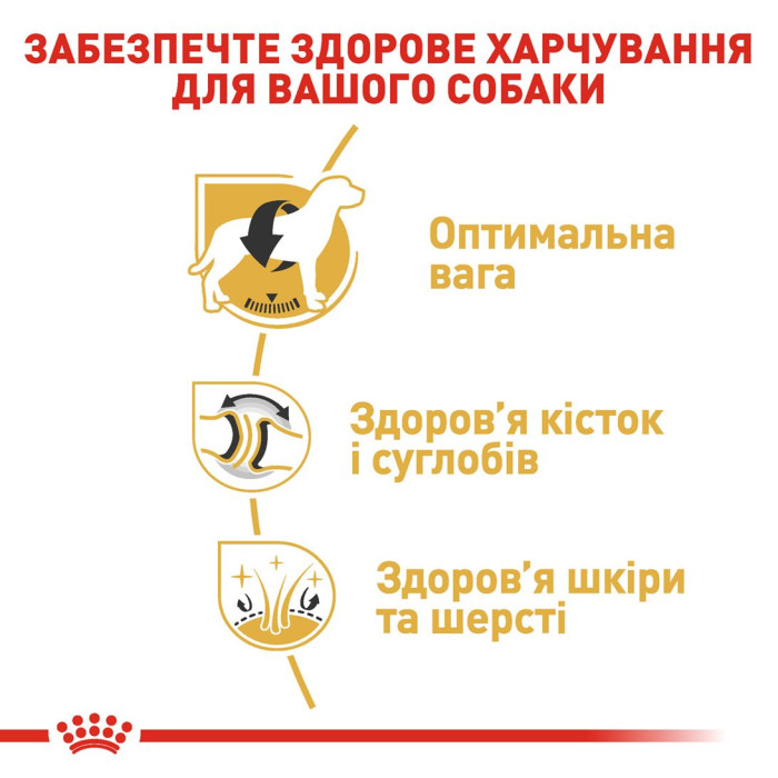 Корм Royal Canin Labrador Retriever Adult для дорослих собак породи лабрадор ретрівер віком від 15 місяців, 12кг