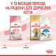 Корм Royal Canin Kitten для котят в возрасте до 12 месяцев, 2кг + контейнер для корма в подарок