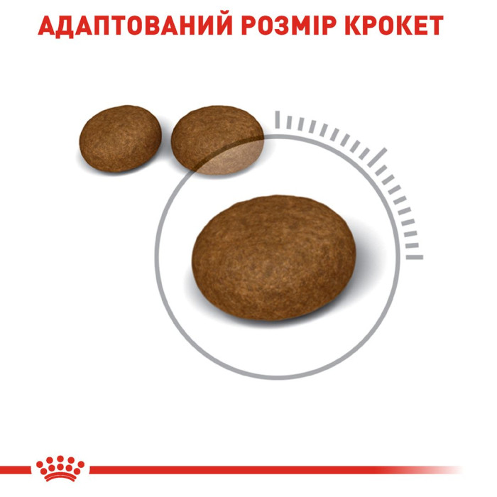 Корм Royal Canin Hair&Skin Care для підтримки здоров'я шкіри та вовни котів, 10кг