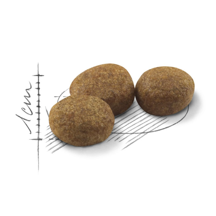 Корм Royal Canin Sterilised 37 для дорослих стерилізованих кішок віком від 12 місяців до 7 років, 2кг + контейнер для корму у подарунок