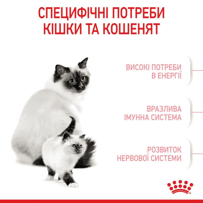 Корм Royal Canin Mother&Babycat для котів у період вагітності та лактації, для кошенят 1-4 міс. 1,4 кг