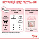 Корм Royal Canin Mother&Babycat для котів у період вагітності та лактації, для кошенят 1-4 міс. 1,4 кг