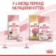 Корм Royal Canin Mother&Babycat для котів у період вагітності та лактації, для кошенят 1-4 міс. 1,4 кг
