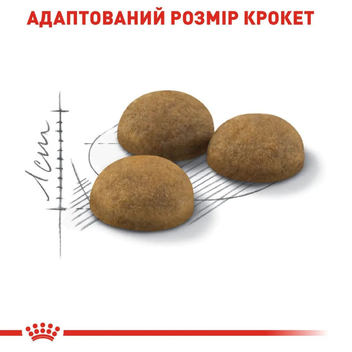 Корм Royal Canin Indoor Long Hair для домашніх довгошерстих котів у віці від 1 до 7 років, 0,4 кг