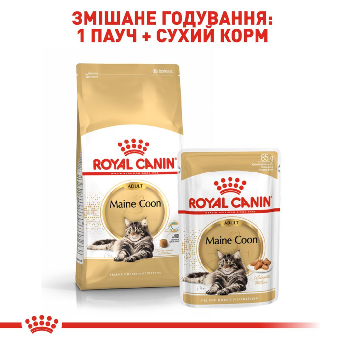 Корм Royal Canin Maine Coon Kitten для кошенят породи мейн-кун віком до 15 місяців, 2 кг + тунель у подарунок