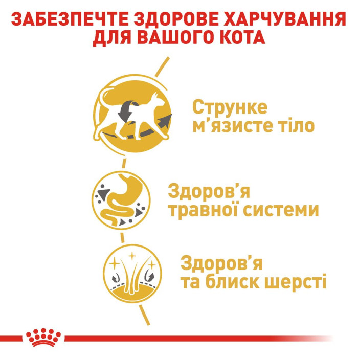 Корм Royal Canin Siamese Adult для кішок породи сіамська у віці старше 12 місяців, 10кг