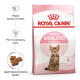 Корм Royal Canin Kitten Sterilised для стерилізованих кошенят віком від 6 до 12 місяців 3,5 кг
