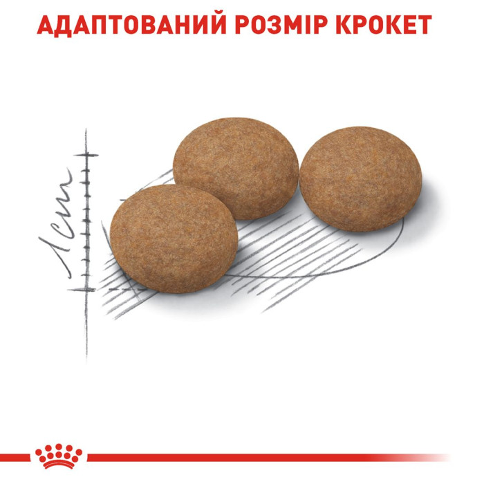 Корм Royal Canin Ageing Sterilised 12+ для зрілих стерилізованих котів старше 12 років, 2кг