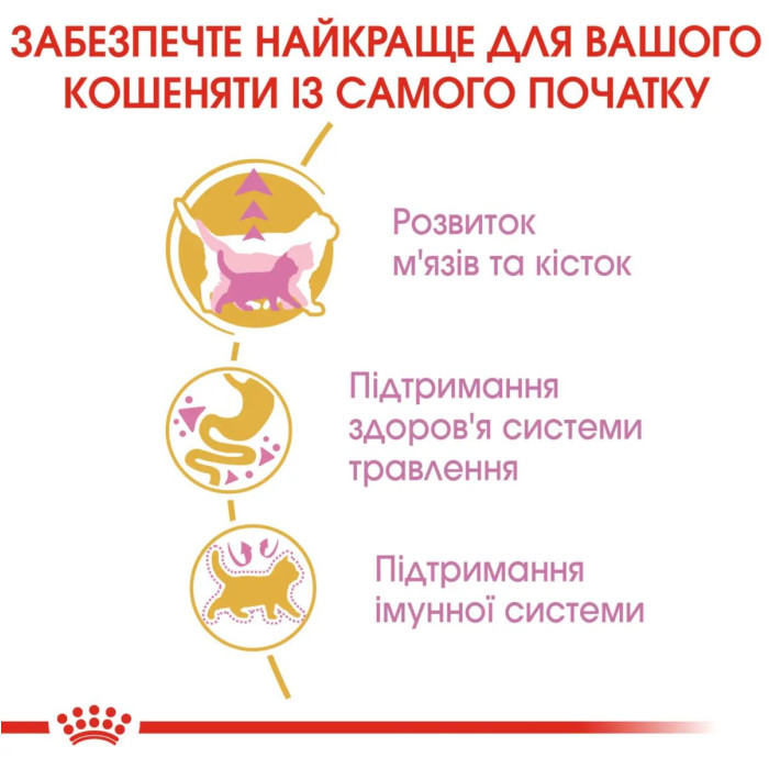 Корм Royal Canin British Shorthair Kitten для котят породы британская короткошерстная в возрасте до 12 месяцев 2кг + туннель в подарок