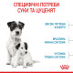 Корм Royal Canin Mini Starter Mother&Babydog для сук дрібних порід наприкінці вагітності та в період лактації, а також для цуценят до 2 міс., 8 кг