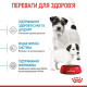 Корм Royal Canin Mini Starter Mother&Babydog для сук дрібних порід наприкінці вагітності та в період лактації, а також для цуценят до 2 міс., 8 кг