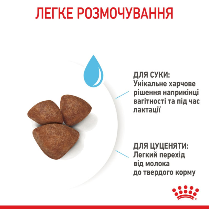Корм Royal Canin Mini Starter Mother&Babydog для сук дрібних порід наприкінці вагітності та в період лактації, а також для цуценят до 2 міс., 8 кг