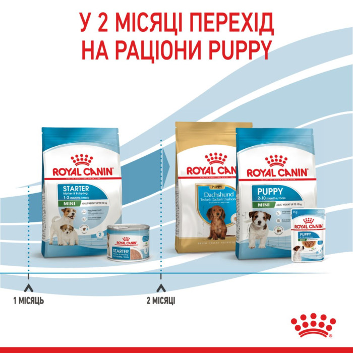 Корм Royal Canin Mini Starter Mother&Babydog для сук дрібних порід наприкінці вагітності та в період лактації, а також для цуценят до 2 міс., 8 кг