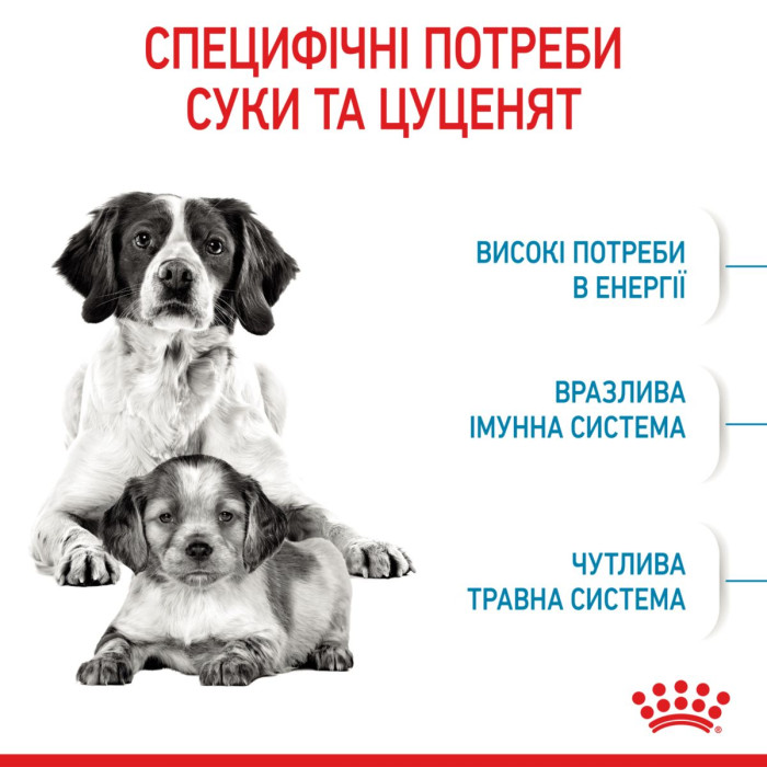 Корм Royal Canin Medium Starter Mother&babydog для собак средних размеров в конце беременности и в период лактации, а также для щенков в период отъема от матери, 1 кг
