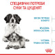 Корм Royal Canin Medium Starter Mother&babydog для собак средних размеров в конце беременности и в период лактации, а также для щенков в период отъема от матери, 1 кг