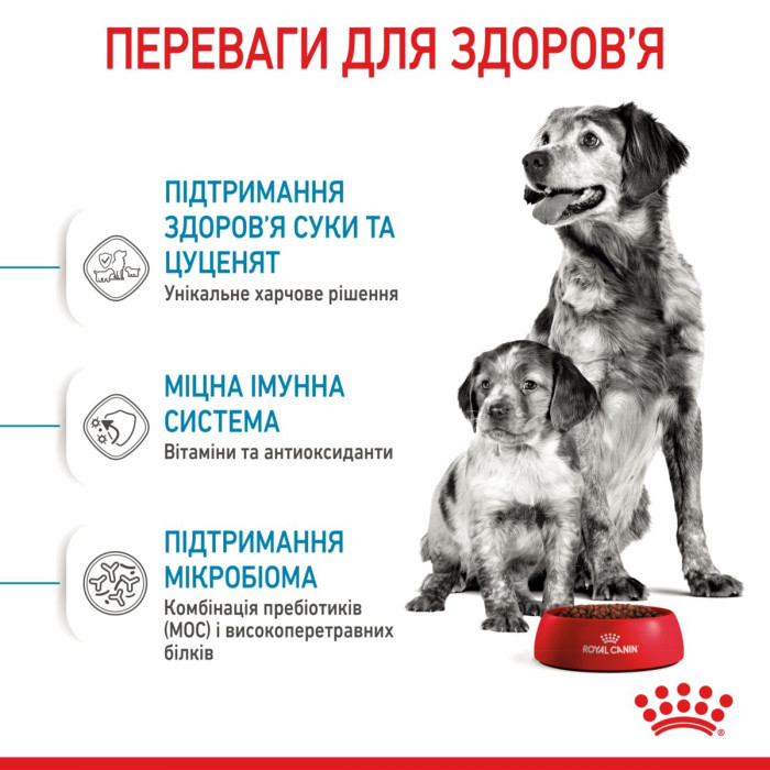 Корм Royal Canin Medium Starter Mother&babydog для собак средних размеров в конце беременности и в период лактации, а также для щенков в период отъема от матери, 1 кг