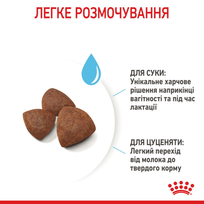 Корм Royal Canin Medium Starter Mother&babydog для собак средних размеров в конце беременности и в период лактации, а также для щенков в период отъема от матери, 1 кг