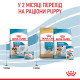 Корм Royal Canin Medium Starter Mother&babydog для собак средних размеров в конце беременности и в период лактации, а также для щенков в период отъема от матери, 1 кг