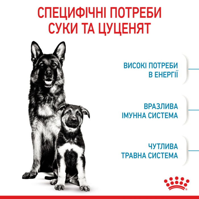 Корм Royal Canin Maxi Starter mother & babydog для собак великих розмірів наприкінці вагітності та в період лактації, а також для щенят у період відлучення від матері, 4 кг