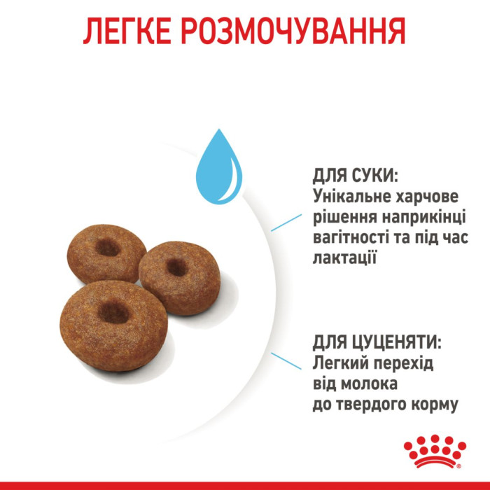 Корм Royal Canin Maxi Starter mother & babydog для собак великих розмірів наприкінці вагітності та в період лактації, а також для щенят у період відлучення від матері, 4 кг