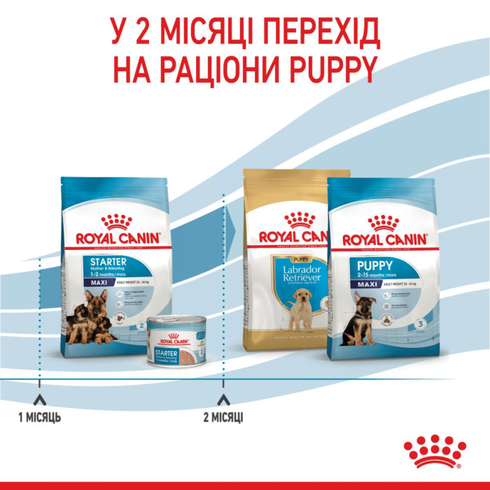 Корм Royal Canin Maxi Starter mother & babydog для собак великих розмірів наприкінці вагітності та в період лактації, а також для щенят у період відлучення від матері, 4 кг