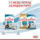 Корм Royal Canin Maxi Starter mother & babydog для собак великих розмірів наприкінці вагітності та в період лактації, а також для щенят у період відлучення від матері, 4 кг