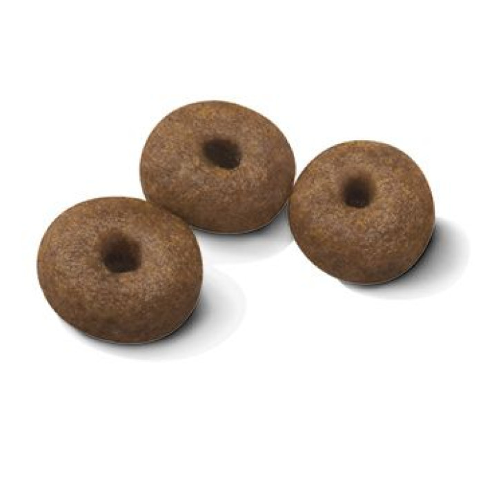 Корм Royal Canin Giant Starter Mother&Babydog для собак дуже великих розмірів наприкінці вагітності та в період лактації, а також для цуценят до 2міс., 1 кг