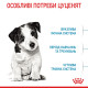 Корм Royal Canin Mini Puppy для щенков малых пород в возрасте от 2 до 10 мес, 4 кг