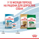 Корм Royal Canin Mini Puppy для щенков малых пород в возрасте от 2 до 10 мес, 4 кг