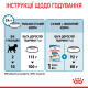 Корм Royal Canin Mini Puppy для щенков малых пород в возрасте от 2 до 10 мес, 4 кг