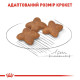 Корм Royal Canin Mini Adult для собак миниатюрных пород в возрасте c 10 мес. до 8 лет, 0,8 кг