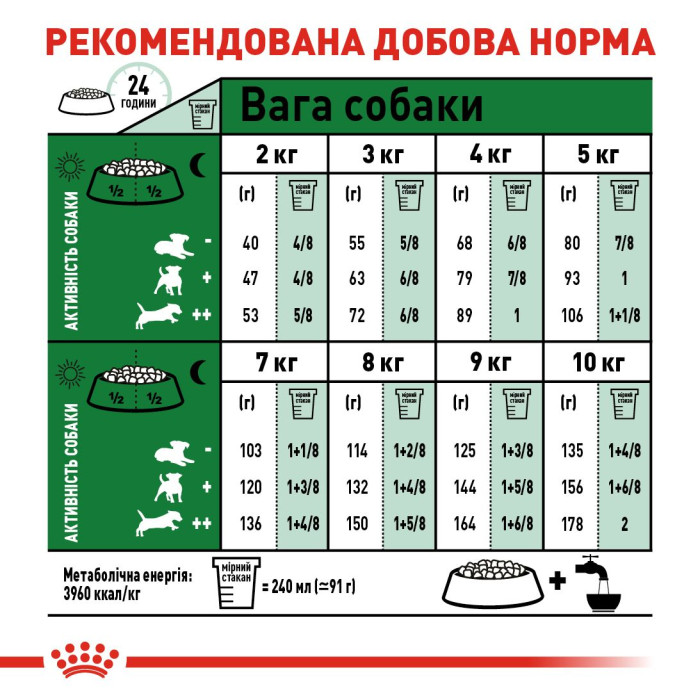 Корм Royal Canin Mini Adult для собак миниатюрных пород в возрасте c 10 мес. до 8 лет, 0,8 кг