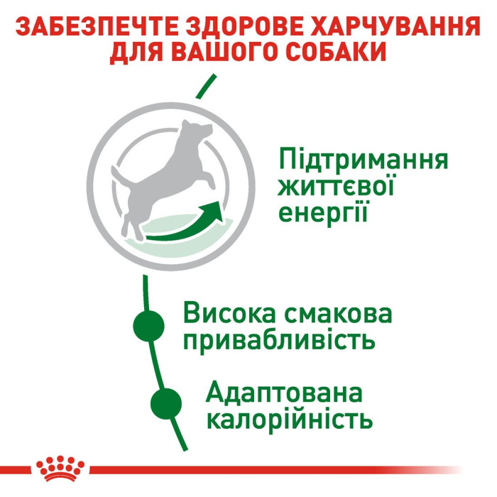 Корм Royal Canin Mini Adult 8+ для дорослих собак дрібних порід від 8 до 12 років, 0,8 кг