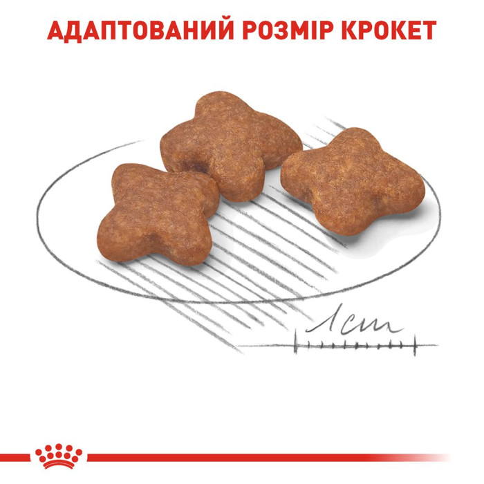 Корм Royal Canin Mini Adult 8+ для дорослих собак дрібних порід від 8 до 12 років, 0,8 кг