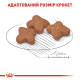 Корм Royal Canin Mini Adult 8+ для дорослих собак дрібних порід від 8 до 12 років, 0,8 кг