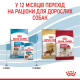 Корм Royal Canin Medium Puppy для щенков средних пород от 2 до 12 мес., 1 кг