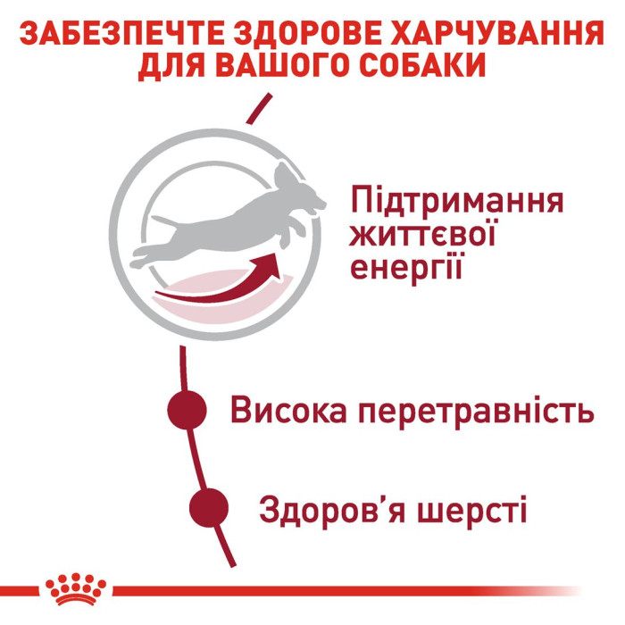 Корм Royal Canin Medium Adult 7+ для зрілих собак середніх розмірів від 7 років, 4 кг