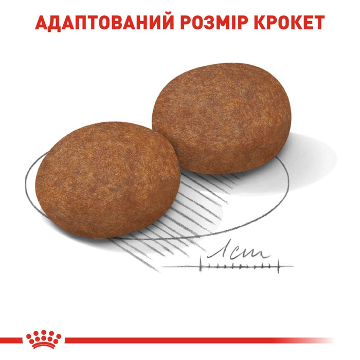 Корм Royal Canin Medium Adult 7+ для зрілих собак середніх розмірів від 7 років, 4 кг